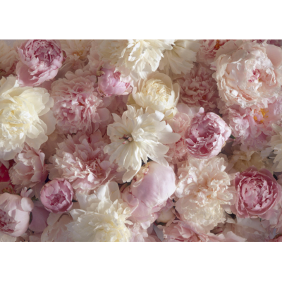 Фотообои Престиж №50 на 8 листов