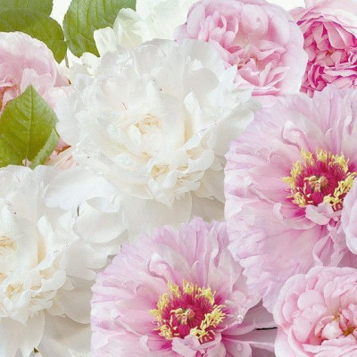 Фотообои Престиж №52