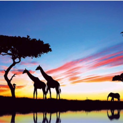 Фотообои Престиж №60