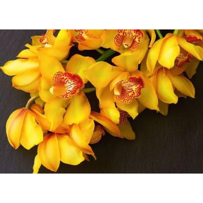 Фотообои Престиж №82