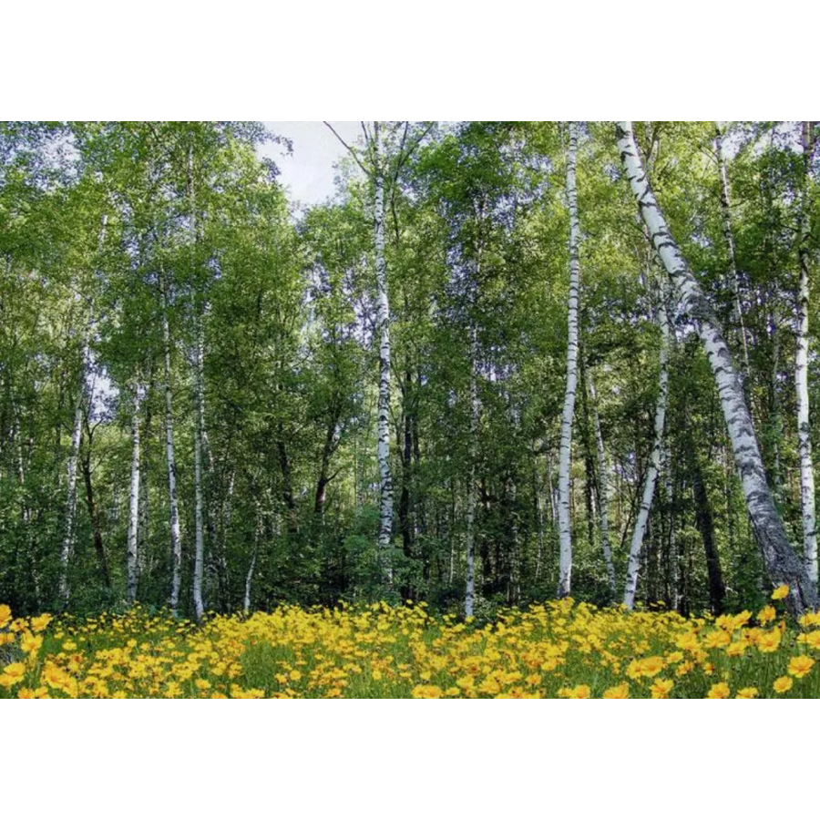 Фотошпалери на  8 листів Лісові красуні - фото 1