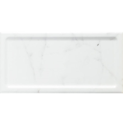 Плитка Almera Ceramica Inmetro Carrara Brillo 10x20 см