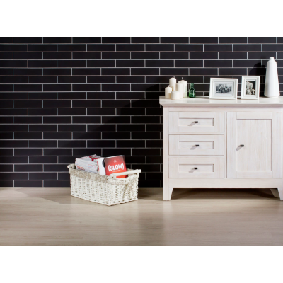 Наружная плитка ELEWACJA NERO SZKLIWONE 245*65*6,5