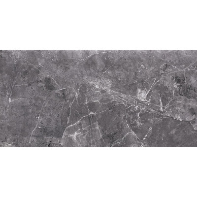 Плитка Opoczno Teneza Grey GLOSSY 297x600x9