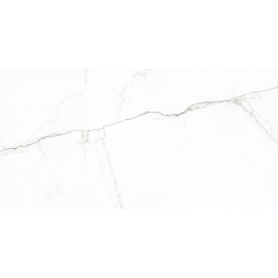Плитка Almera Ceramica (Spain) Lab Bianco Mare Bianco 600х1200х8 - фото 1