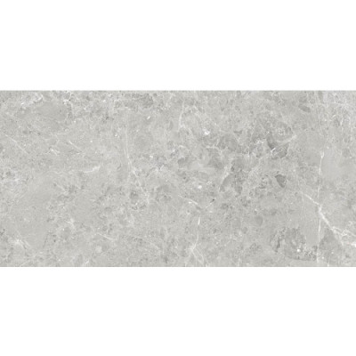 Плитка CERAMICA DESEO DELIA GREY MATT RECT 8×1198×598