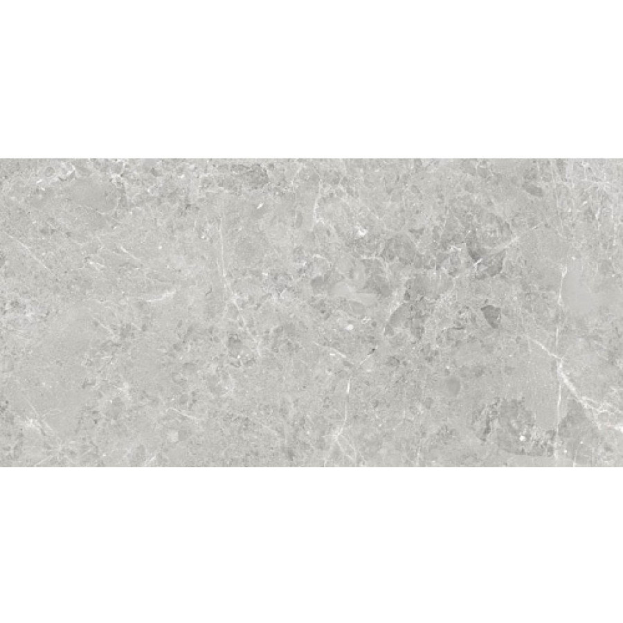 Плитка CERAMICA DESEO DELIA GREY MATT RECT 8×1198×598 - фото 1
