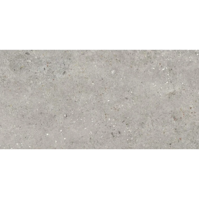 Плитка CERSANIT RIALTO GREY RECT 1200*600