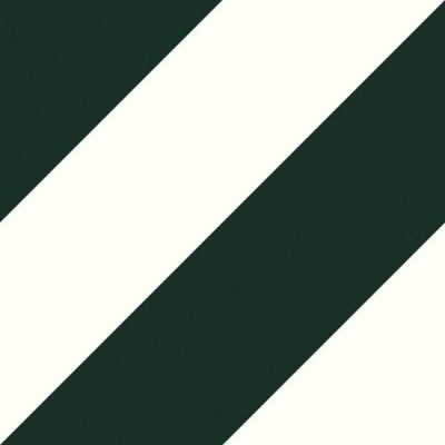 Плитка Ceramica Deseo Ec. Zebra Forest 22,3x22,3 см