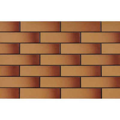 Плитка Cerrad Elewacja Szkliwiona Miodowa 6,5x24,5 см