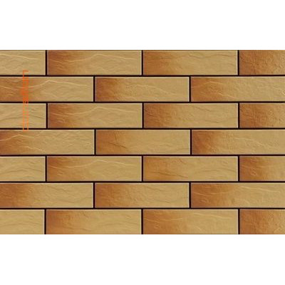 Плитка ELEVACJA RUSTICO GOBI 65*245*6