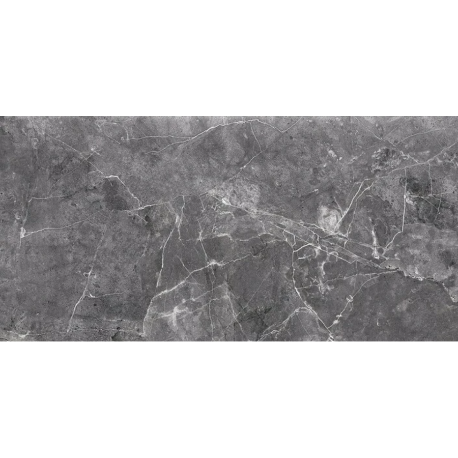 Плитка OPOCZNO Teneza Grey GLOSSY 297x600x9 глянцева - фото 1