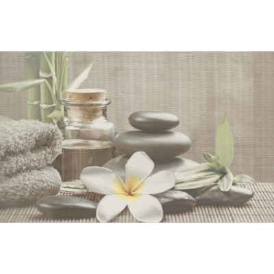 Плитка декор Cersanit Olivia Dec Grey Spa1 25x40 см