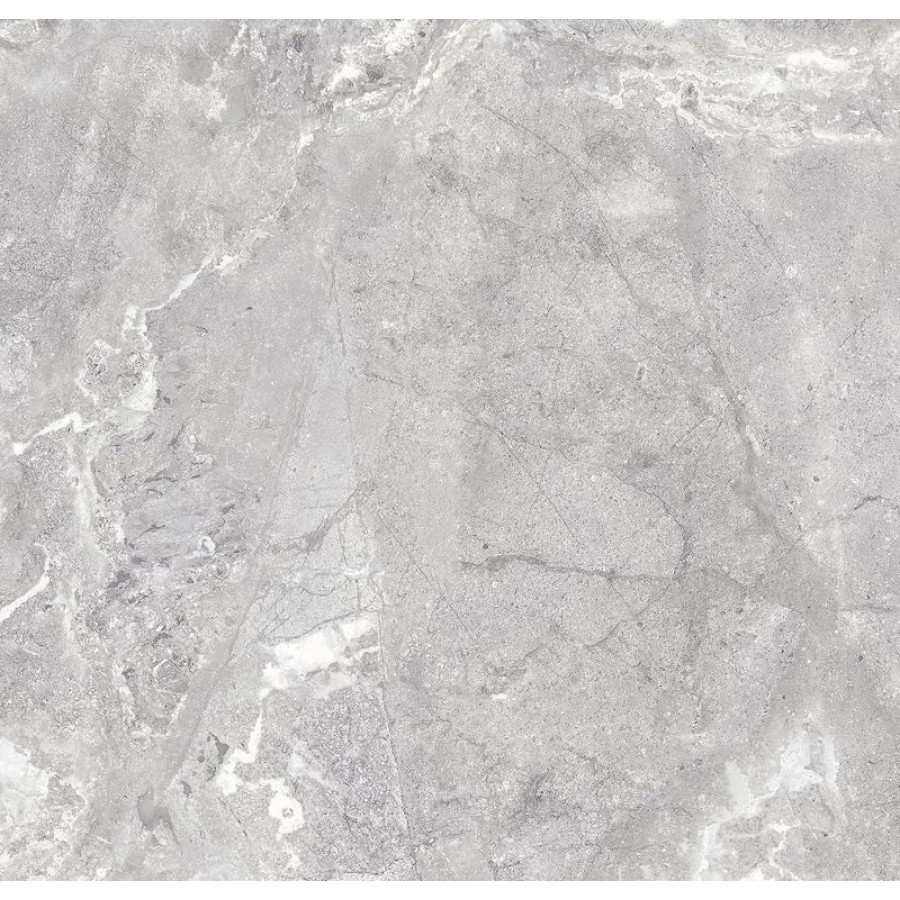 Плитка Snake stone Silver F PC 600x600x8 R Sugar 1 - фото 1