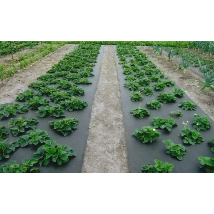 Агроволокно 50 г/м черный 1,6м*100м - фото 2