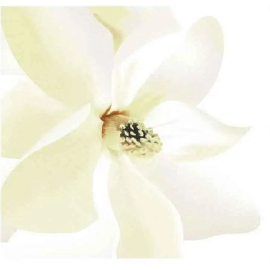 Штора для ванної кімнати та душу, з кільцями, фотопрінт, Dariana, PHP-PUREWHITE, 180*180 - фото 1