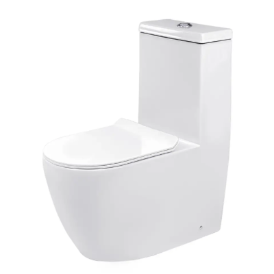 Унитаз моноблок Ermin (*670*370*840) белый