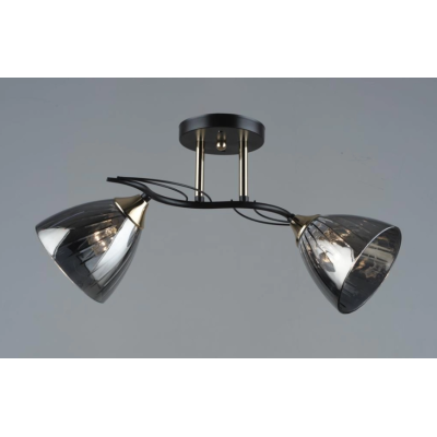 Люстра декоративная Sirius B N5467/2 COFFEE+FGD